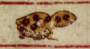 Ocelotl, códice Borgia